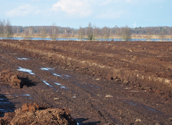 Peat I Sterckx Peat I Sterckx